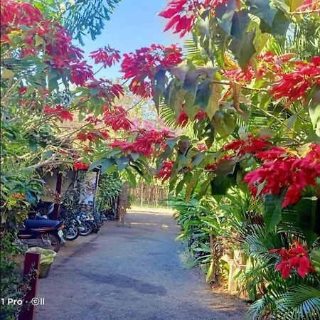 Tribal Village Homestay & Trekking Banlung Exterior photo
