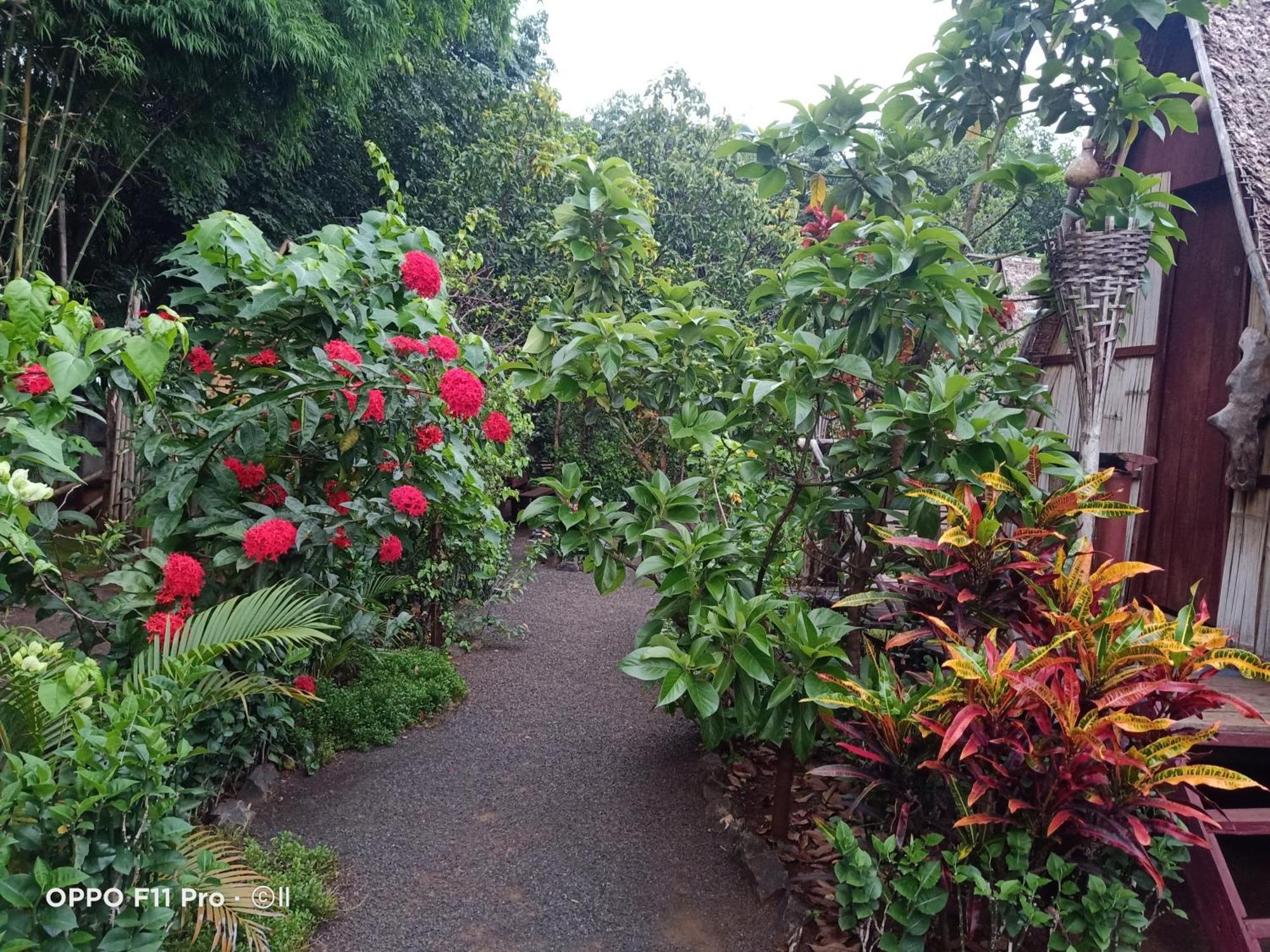 Tribal Village Homestay & Trekking Banlung Exterior photo